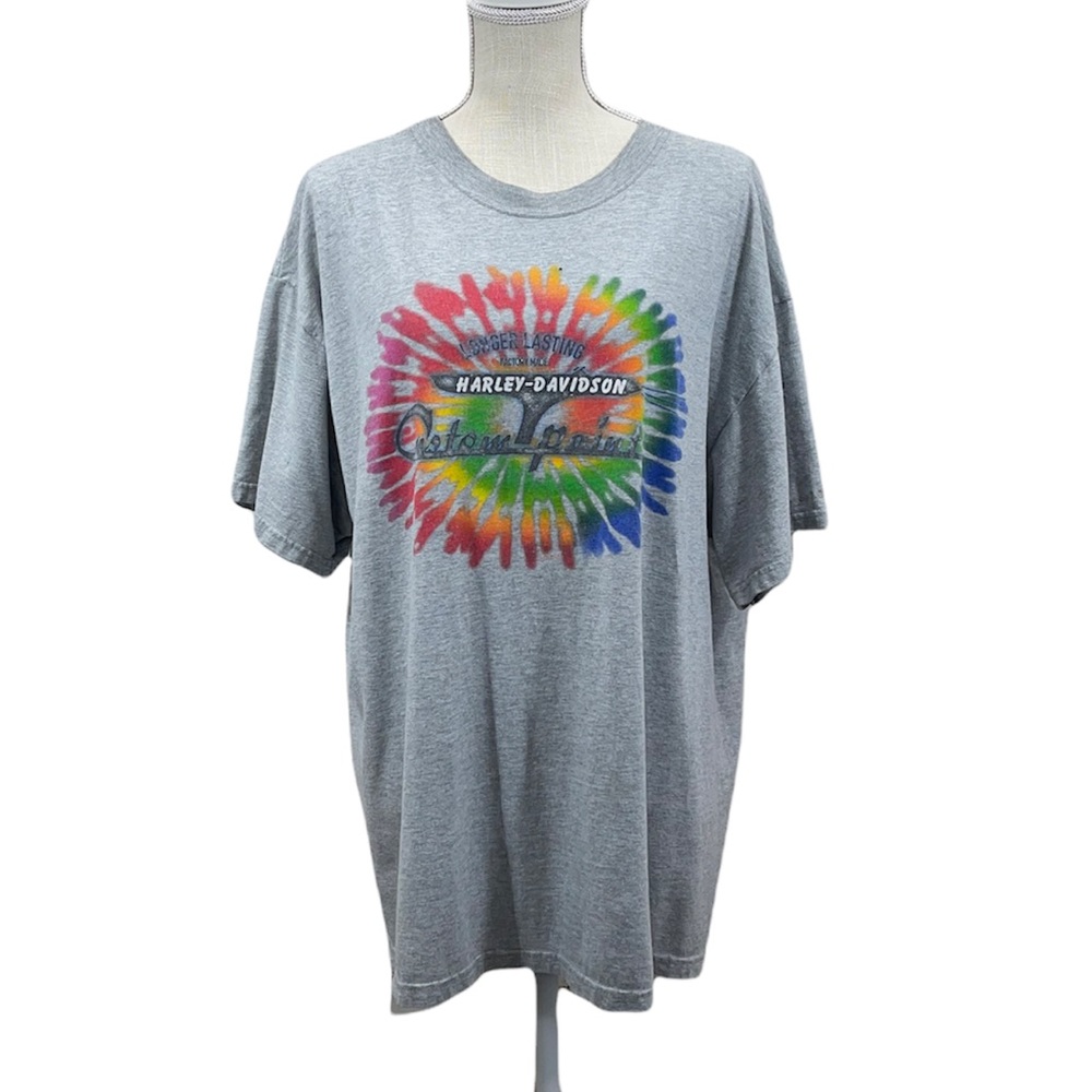 HARLEY-DAVIDSON Men’s/Unisex Grey Short Sleeve Graphic Tee Shirt Size XL